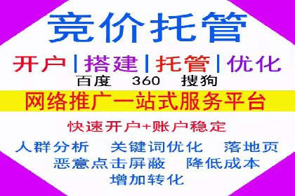 专业sem竞价托管服务，案例解析提升广告效果
